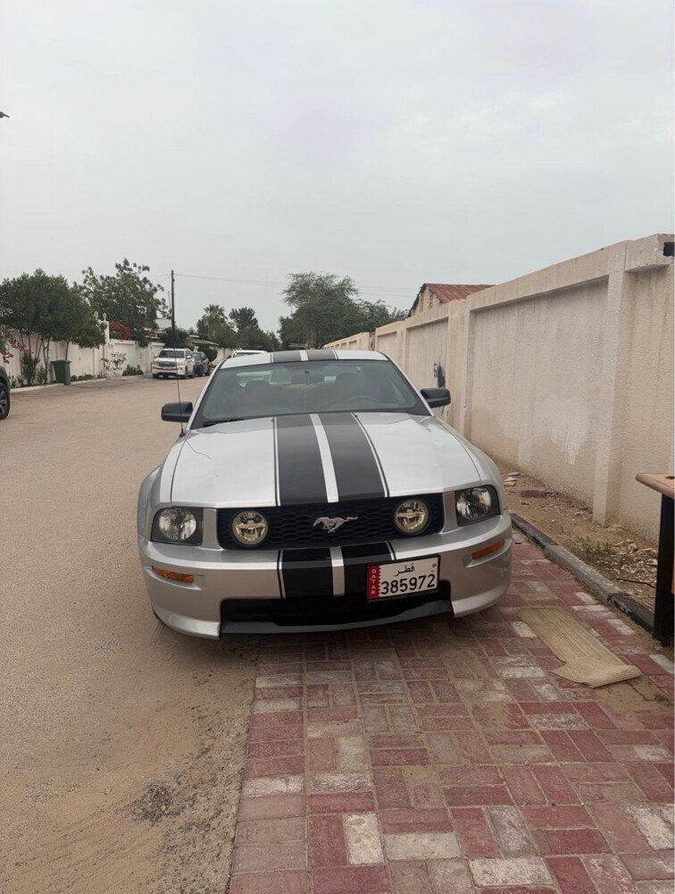 موستنج  - 2