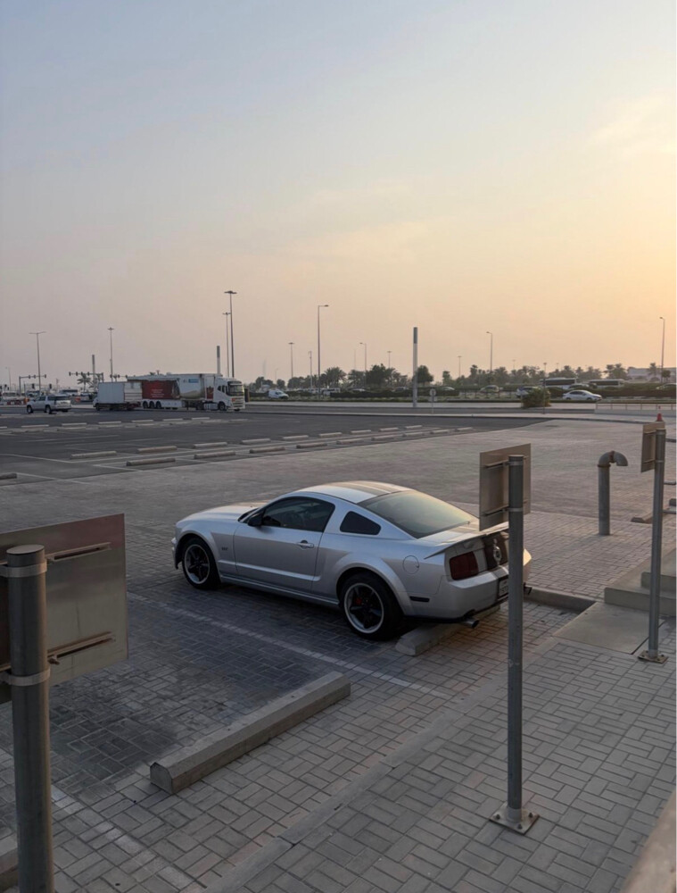 موستنج  - 7