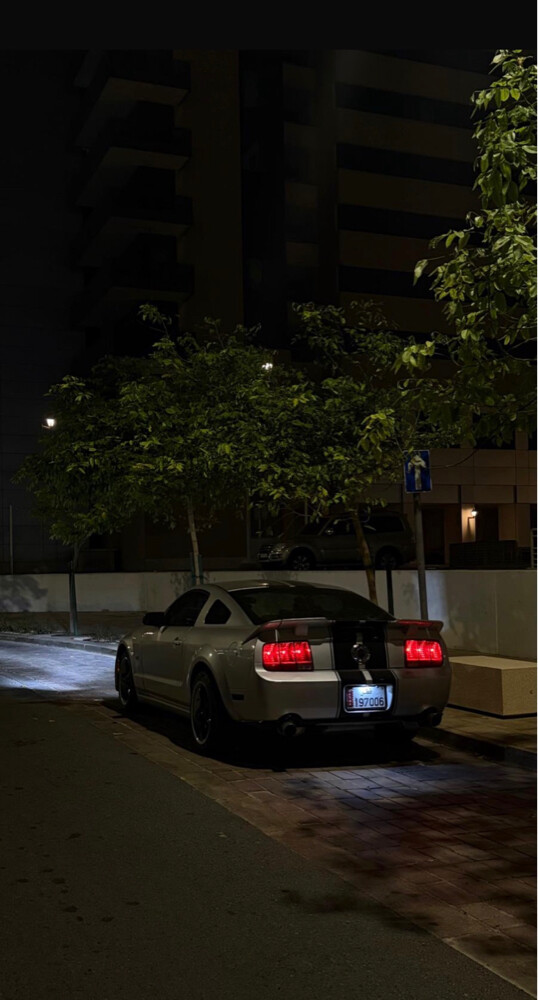 موستنج  - 5
