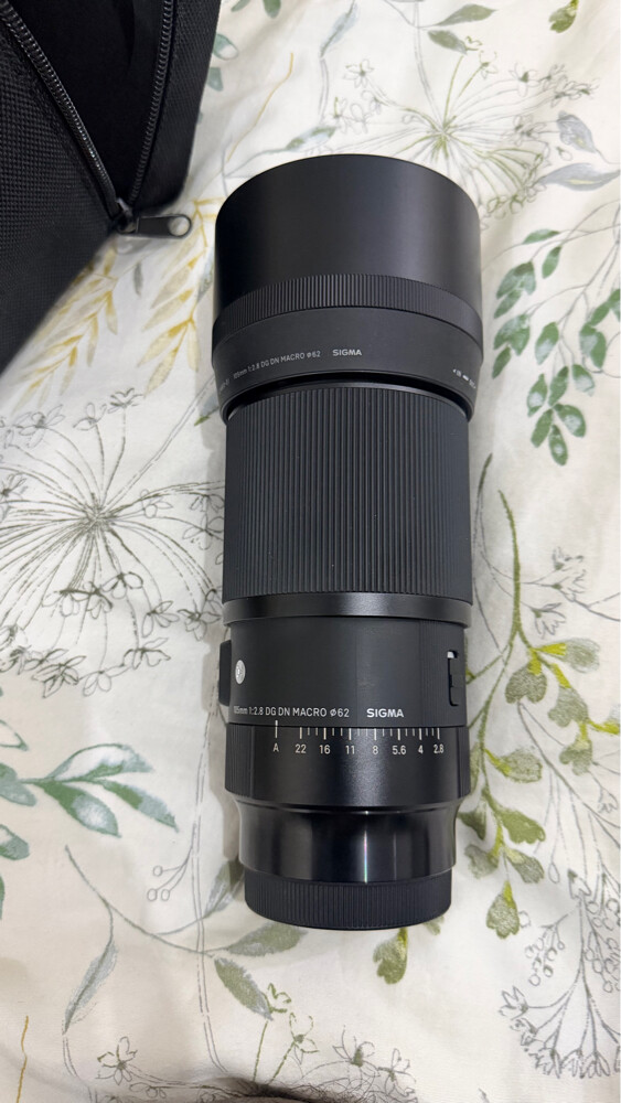 Sigma 105 mm macro lens  - 3