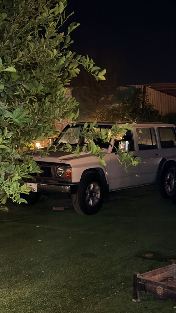 نيسان كربيتر - 4
