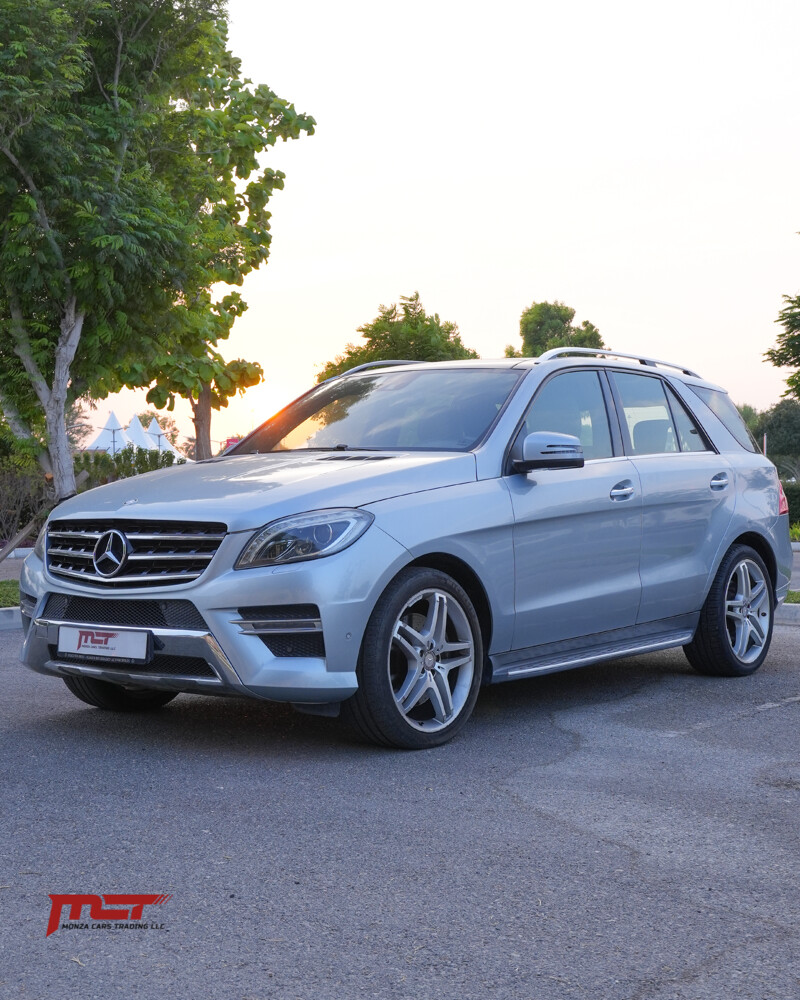 2014 ML 350 - 1