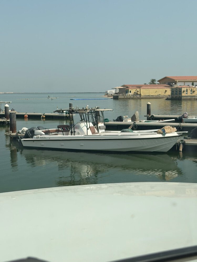 Halol Boat - 1