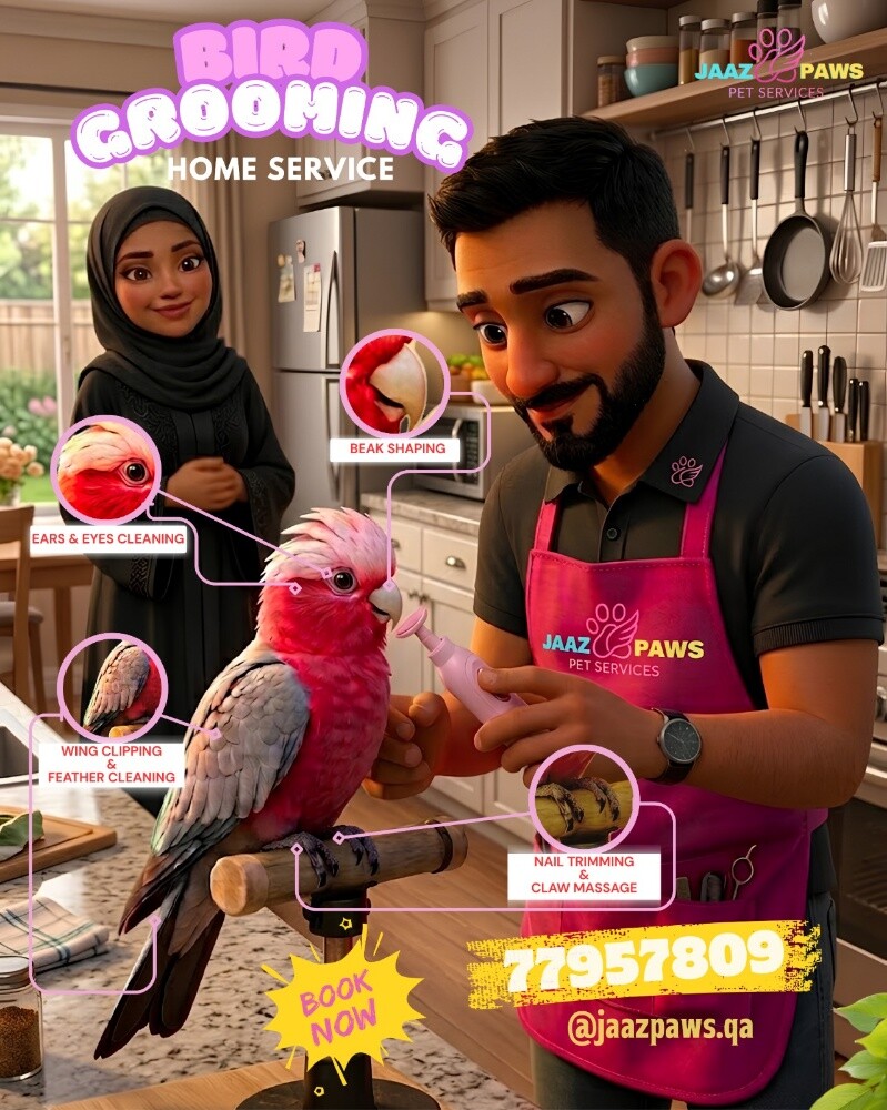 Parrot Grooming  Home Services - 1