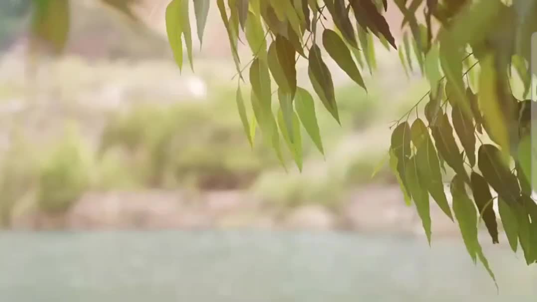 قارب صيد جي بي اس ب ٤ نسافات - 10
