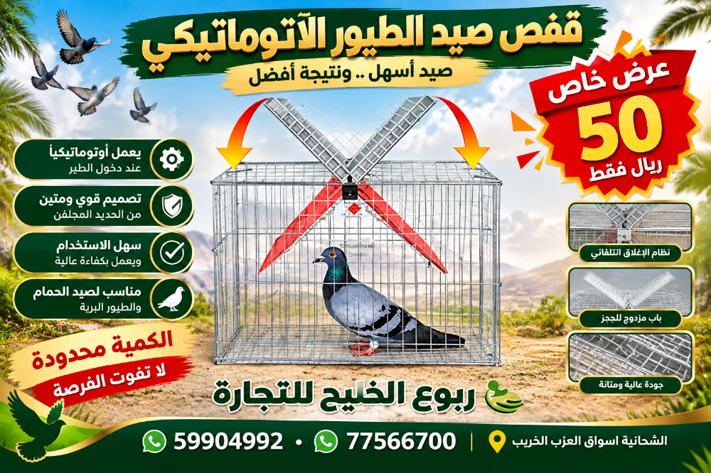 يوجد دجاج بلدي و جهاز الدجاج - 17