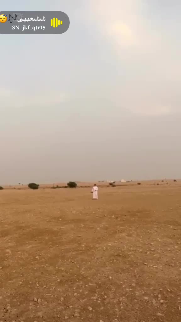 جير شاهين  - 1