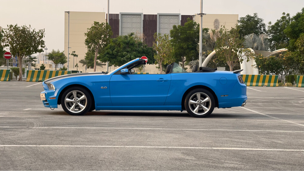 Mustang 5.0 - 7