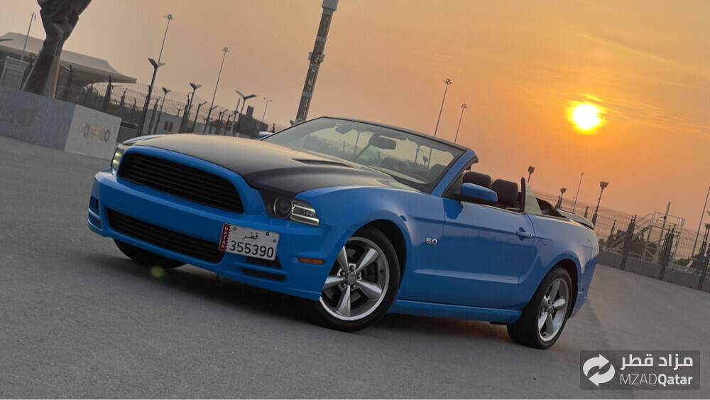 Mustang 5.0 - 1