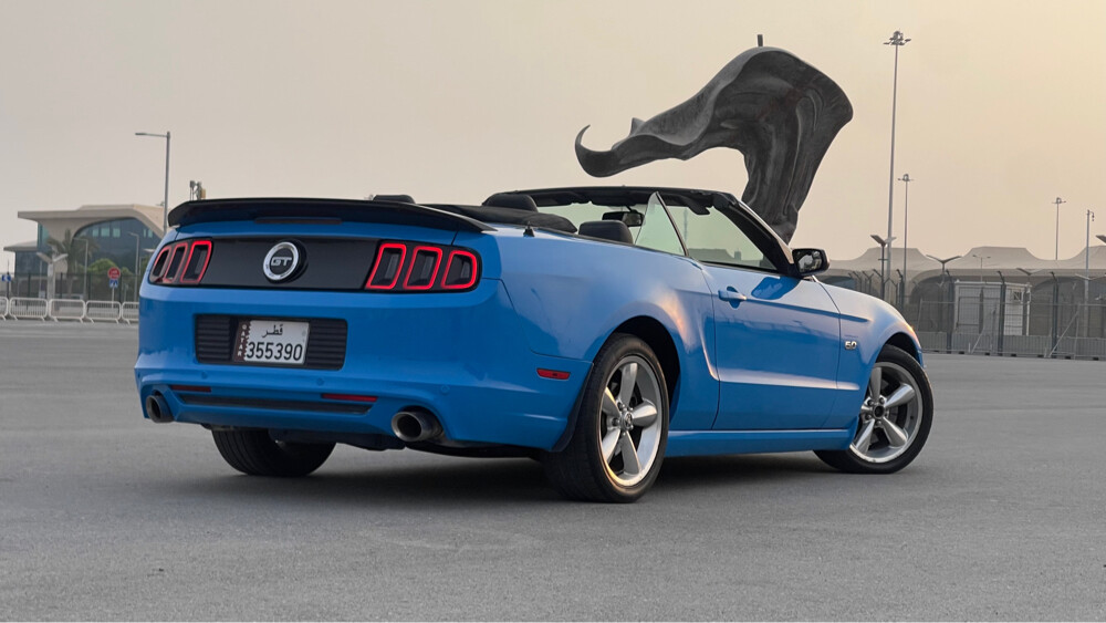 Mustang 5.0 - 8