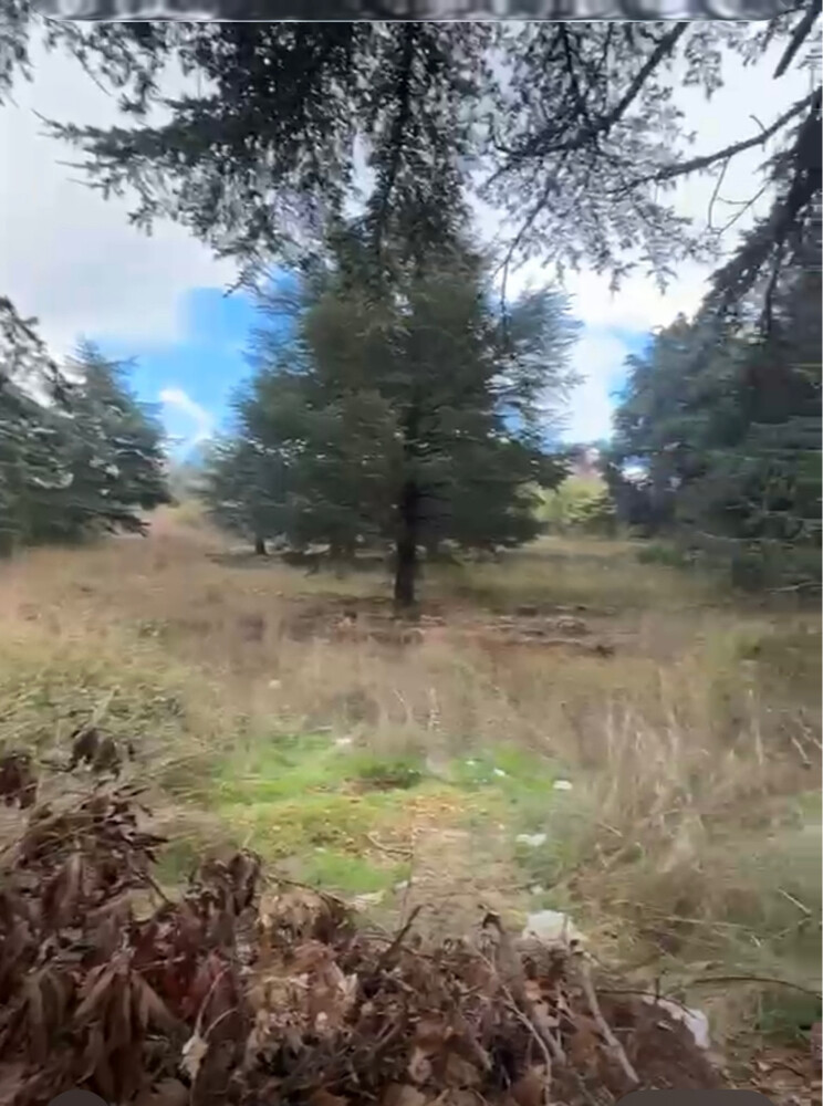Corneesh sawfar lebanon  - 2