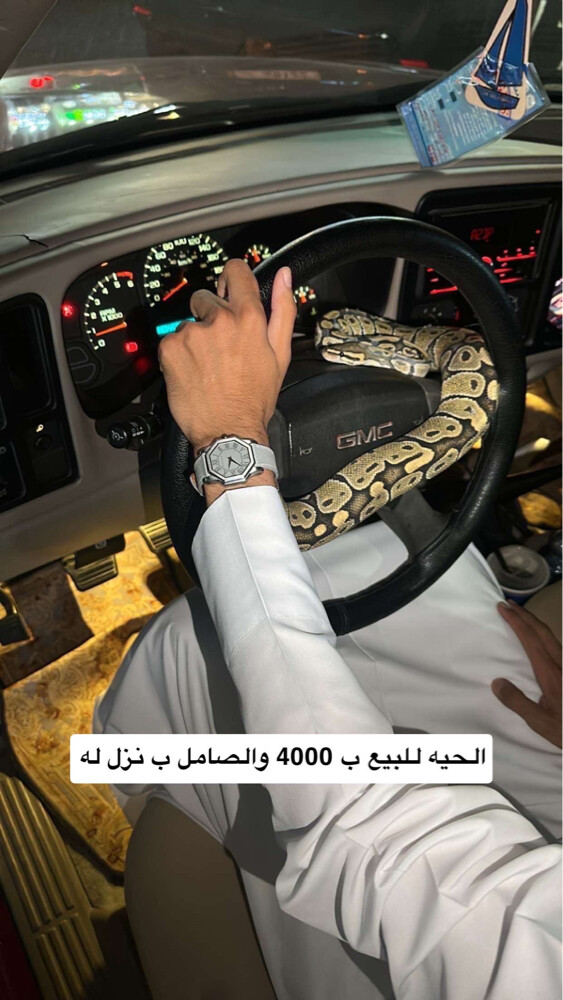 بول بايثن - 2
