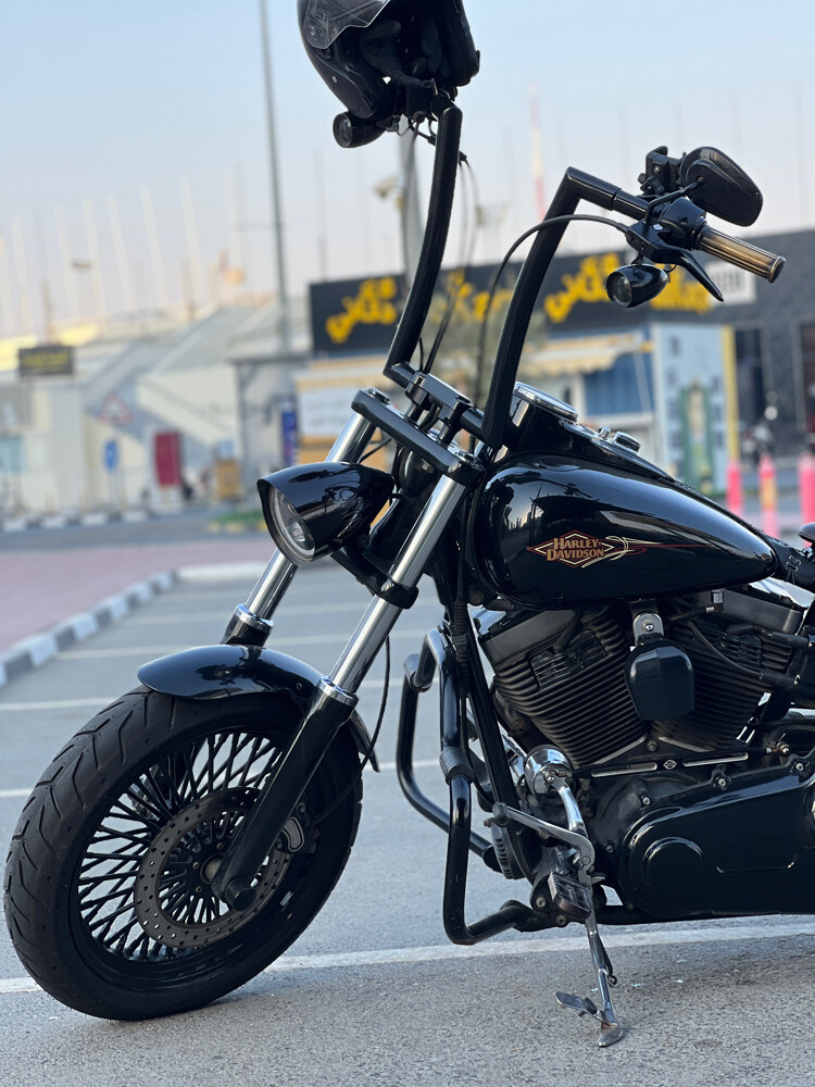 سوفتيل هارلي - 6