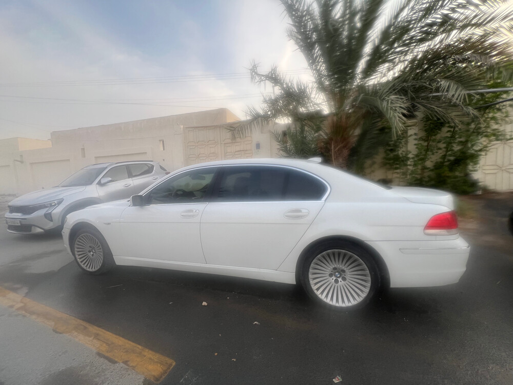 للبيع على وضعها - 2