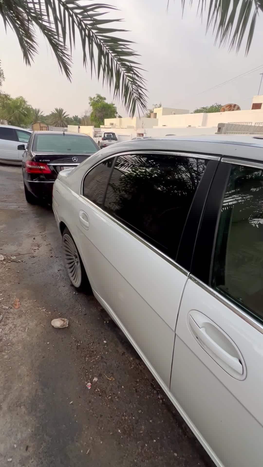 للبيع على وضعها - 6