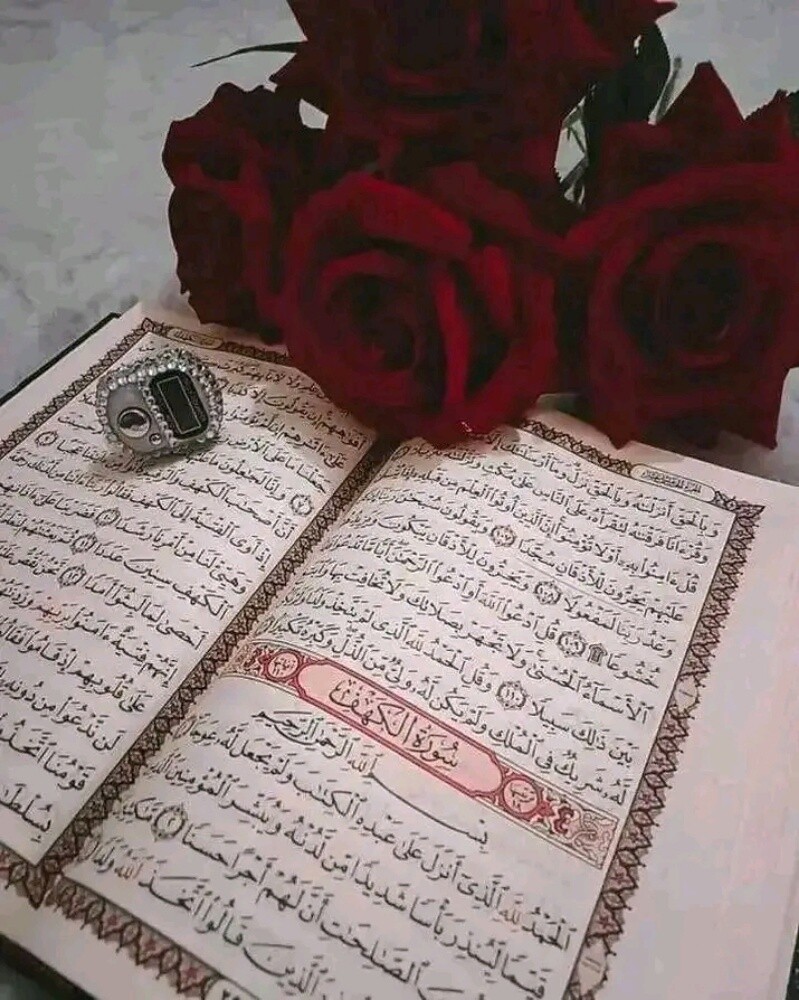 أستاذة - 1