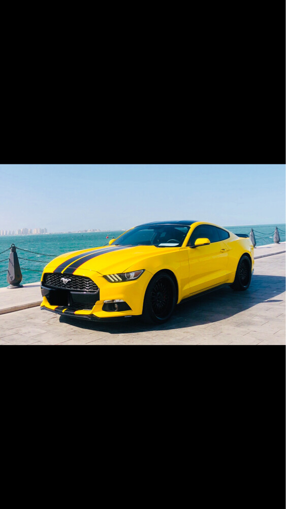 فورد مستنج - 5
