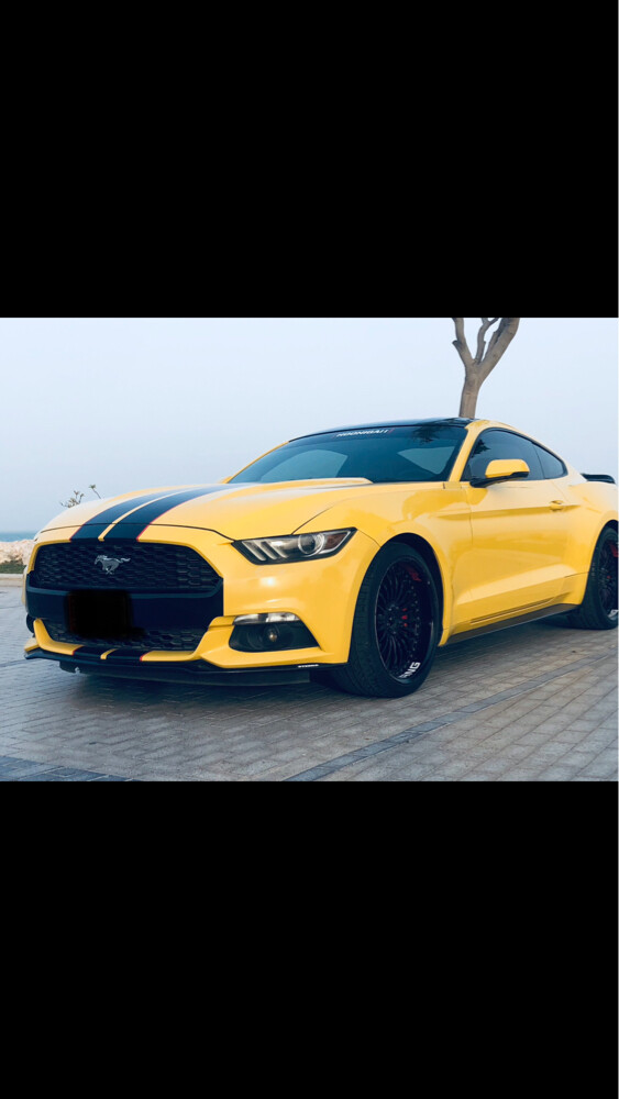 فورد مستنج - 1