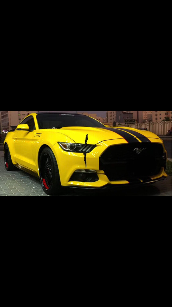فورد مستنج - 4