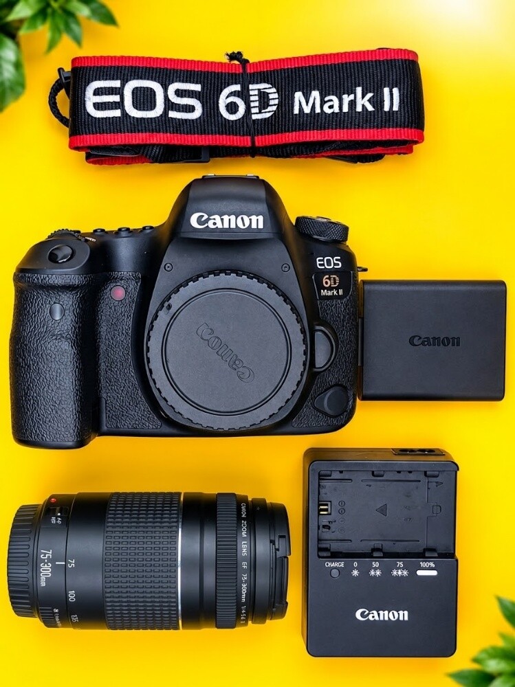canon 6d mark ii and 75-300mm zoom - 2