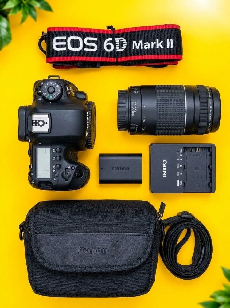canon 6d mark ii and 75-300mm zoom - 1