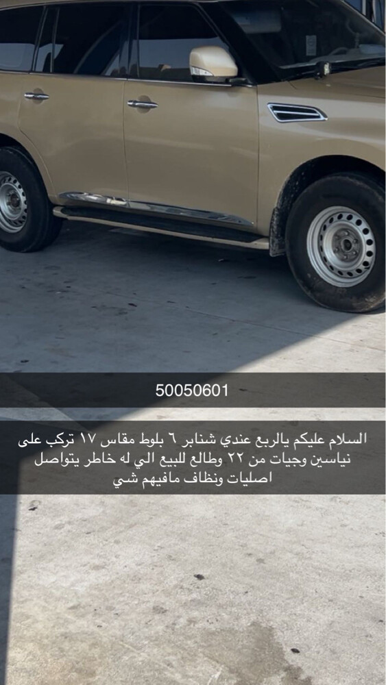 شنابر ١٧ سيدا  - 1