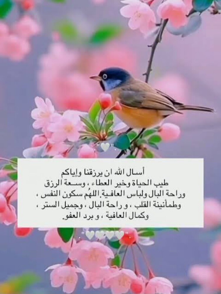 مدرس لغة إنجليزية - 1