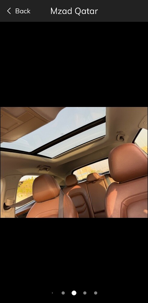 Borgward BX5 - 5