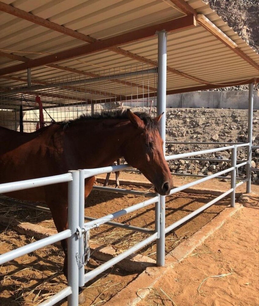Stable - 1
