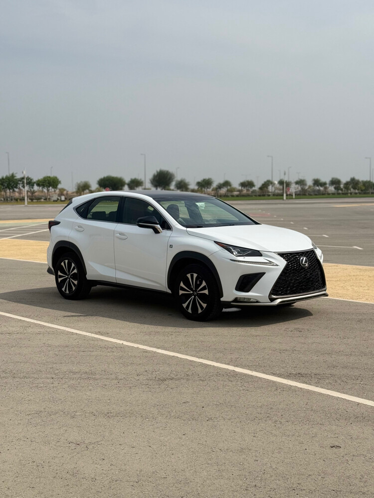 Lexus NX300 F SPORT - 3