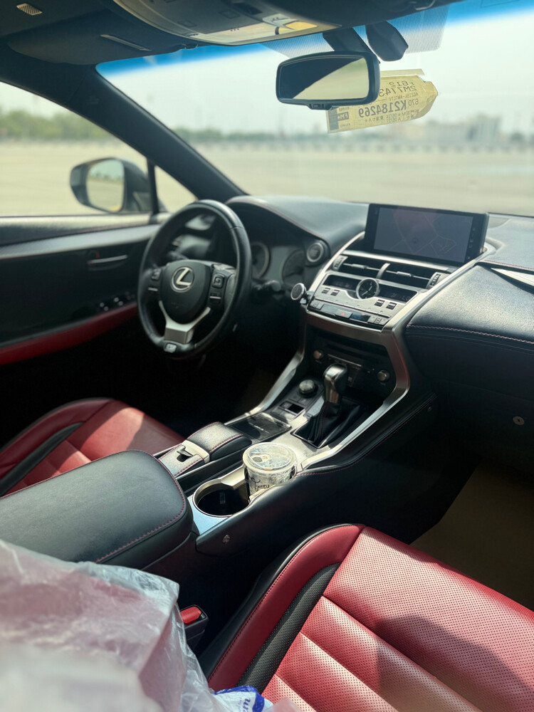 Lexus NX300 F SPORT - 10