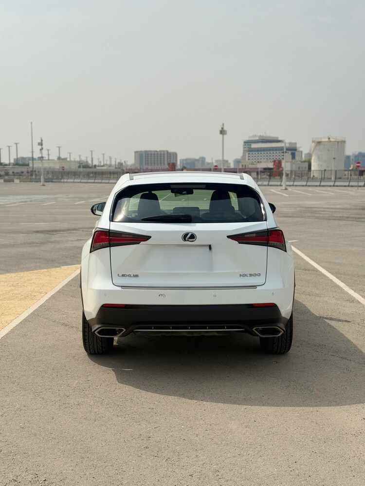 Lexus NX300 F SPORT - 2