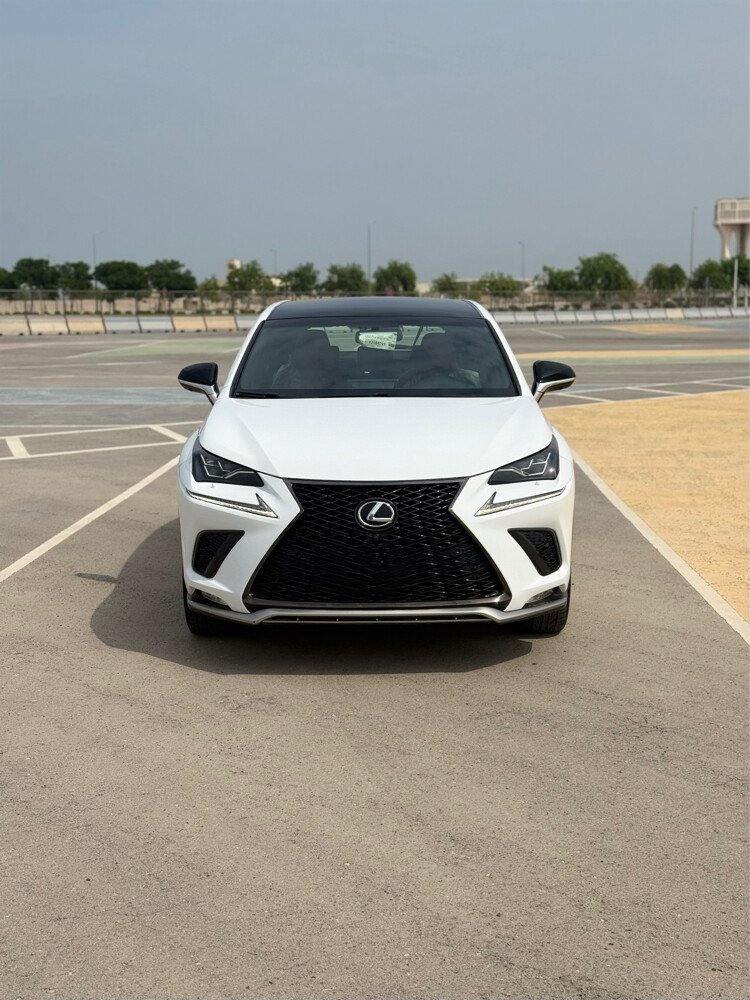 Lexus NX300 F SPORT - 1