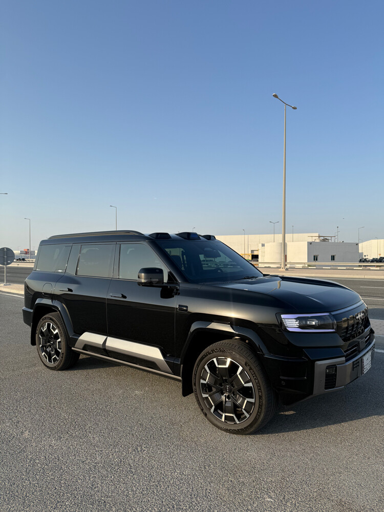 دينزا بي 8  - 6