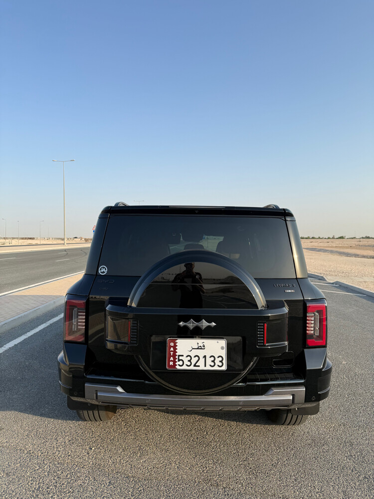 دينزا بي 8  - 4