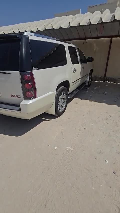 جمس دينالي - 4
