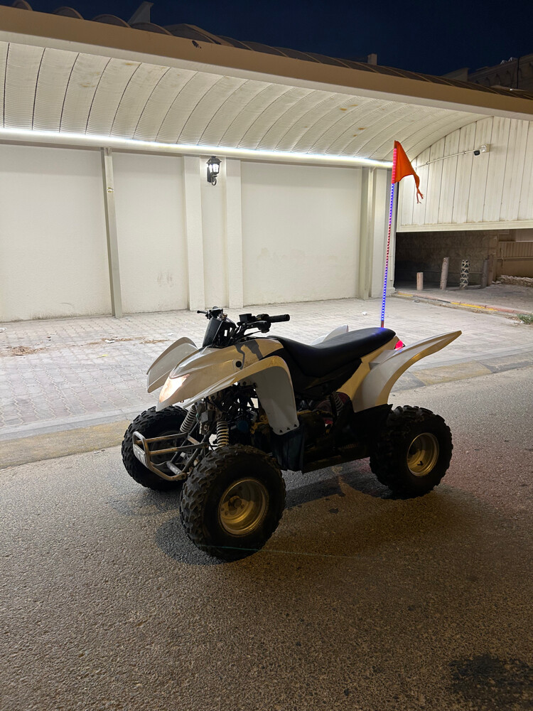 Cobra 110cc - 3