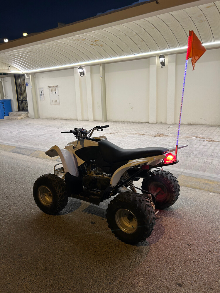 Cobra 110cc - 4