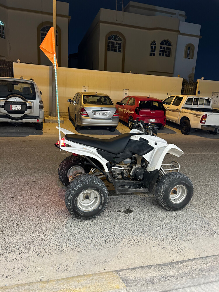 Cobra 110cc - 2