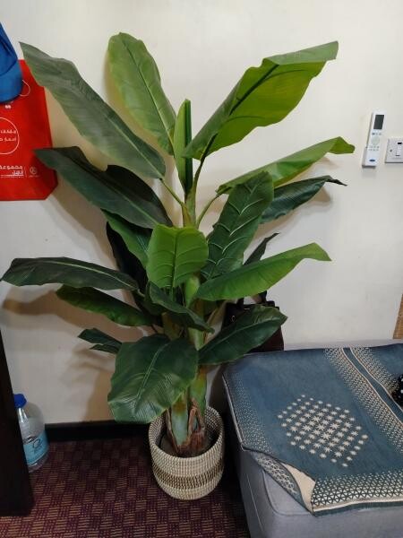 Plant artificial delivery - 2