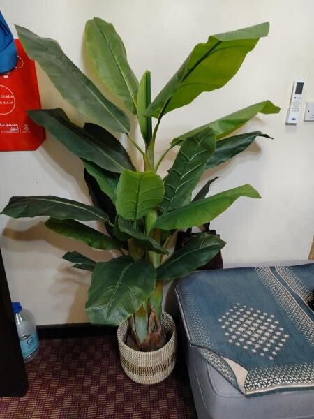 Plant artificial delivery - 1