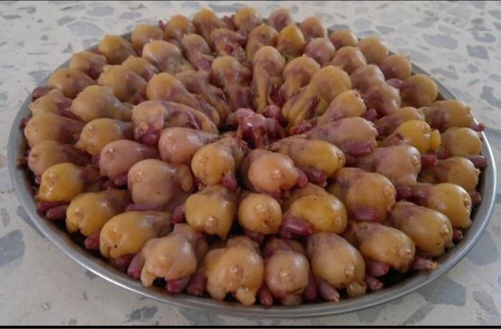 عصافير التين  - 1