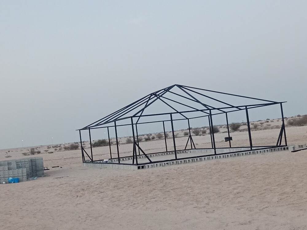شاہد - 12