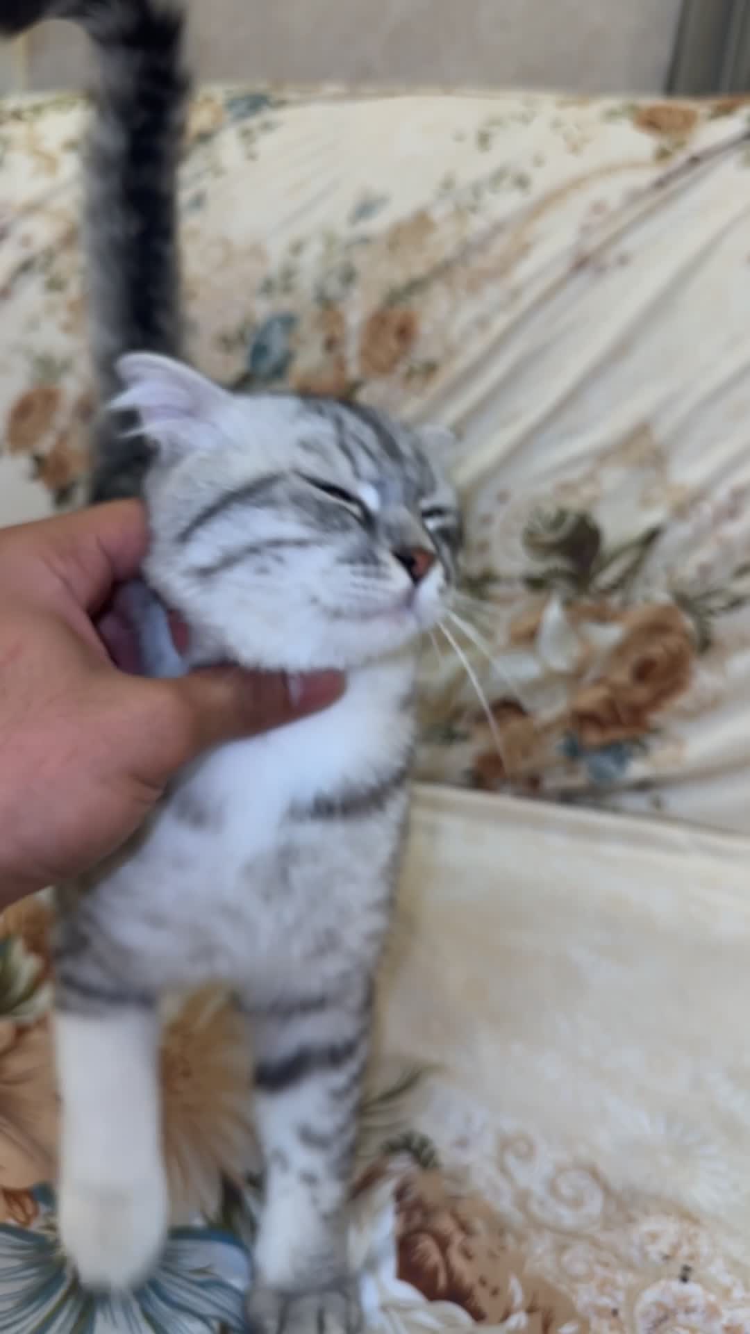 بدون اسم - 6
