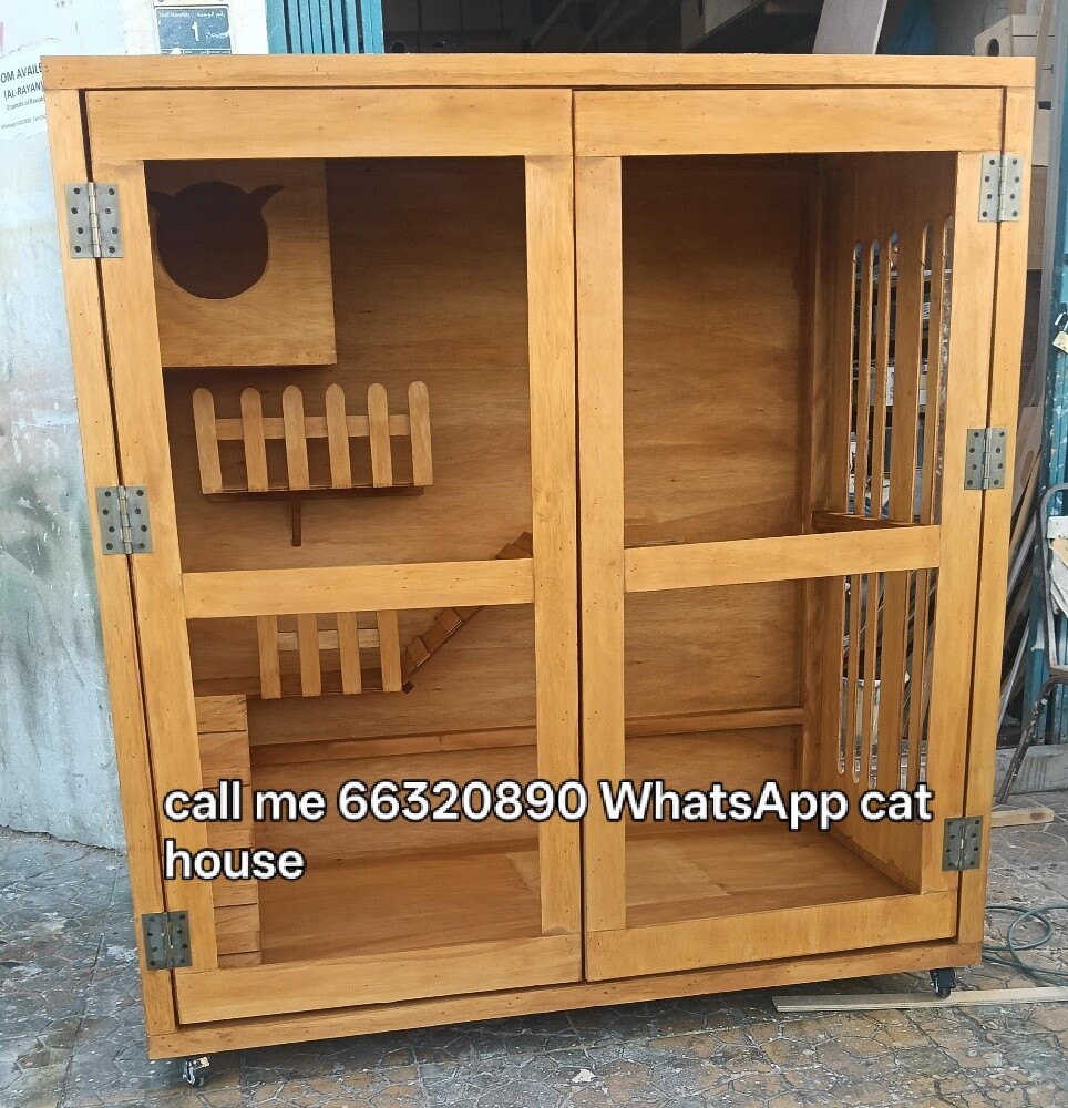 call me WhatsApp cat house no - 30