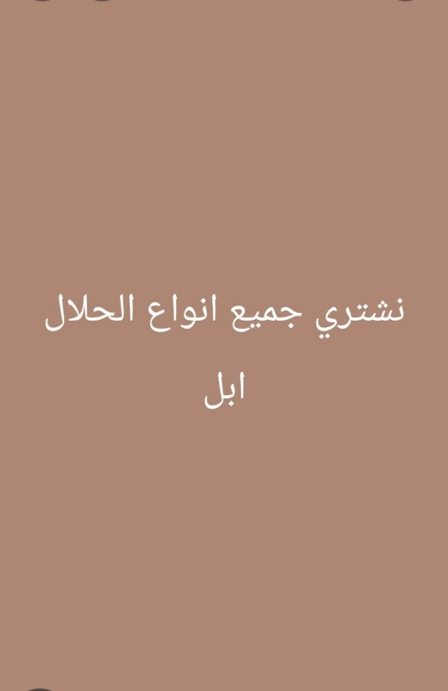 نشتري جميع انواع الحلال - 1