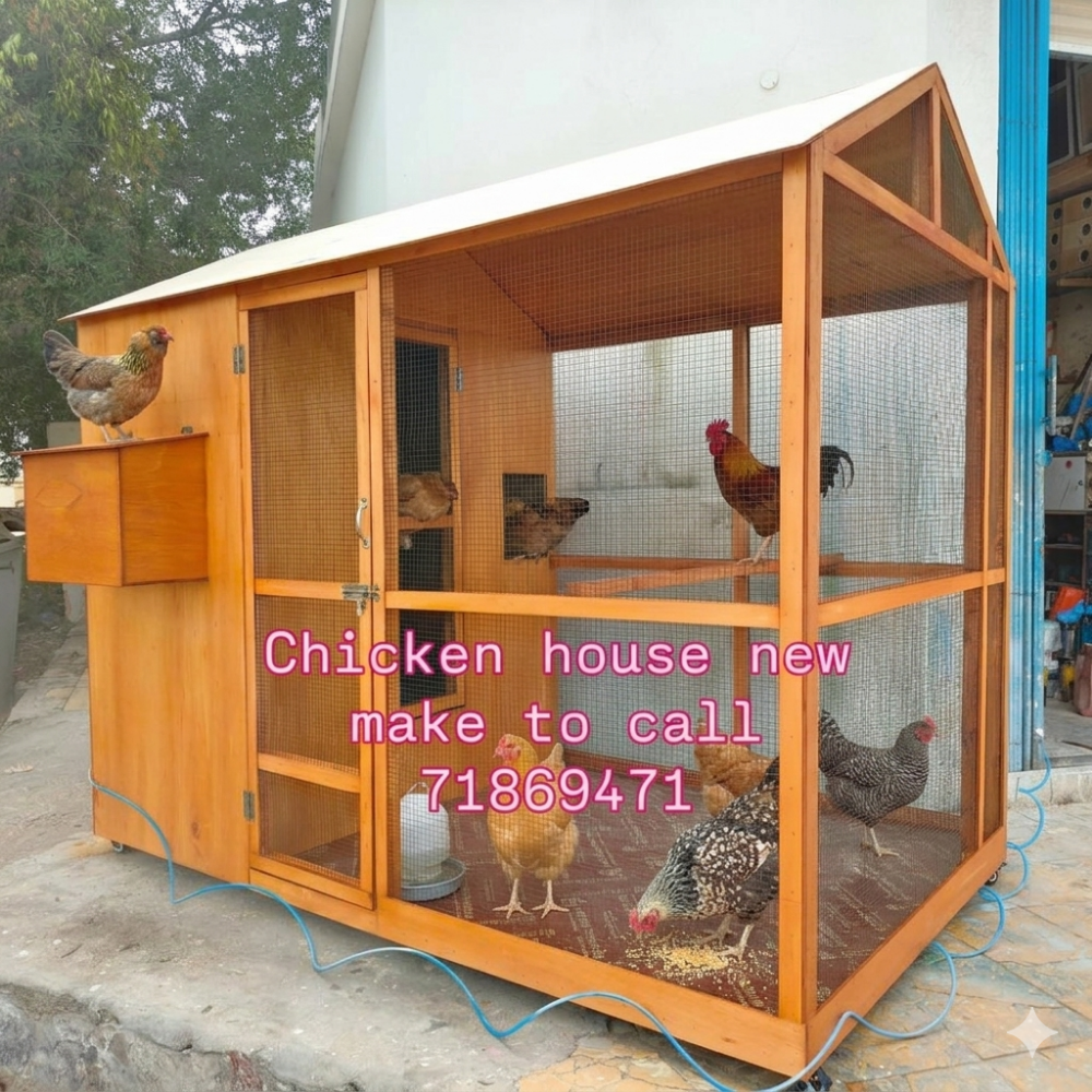 All furniture sale chicken house - 3