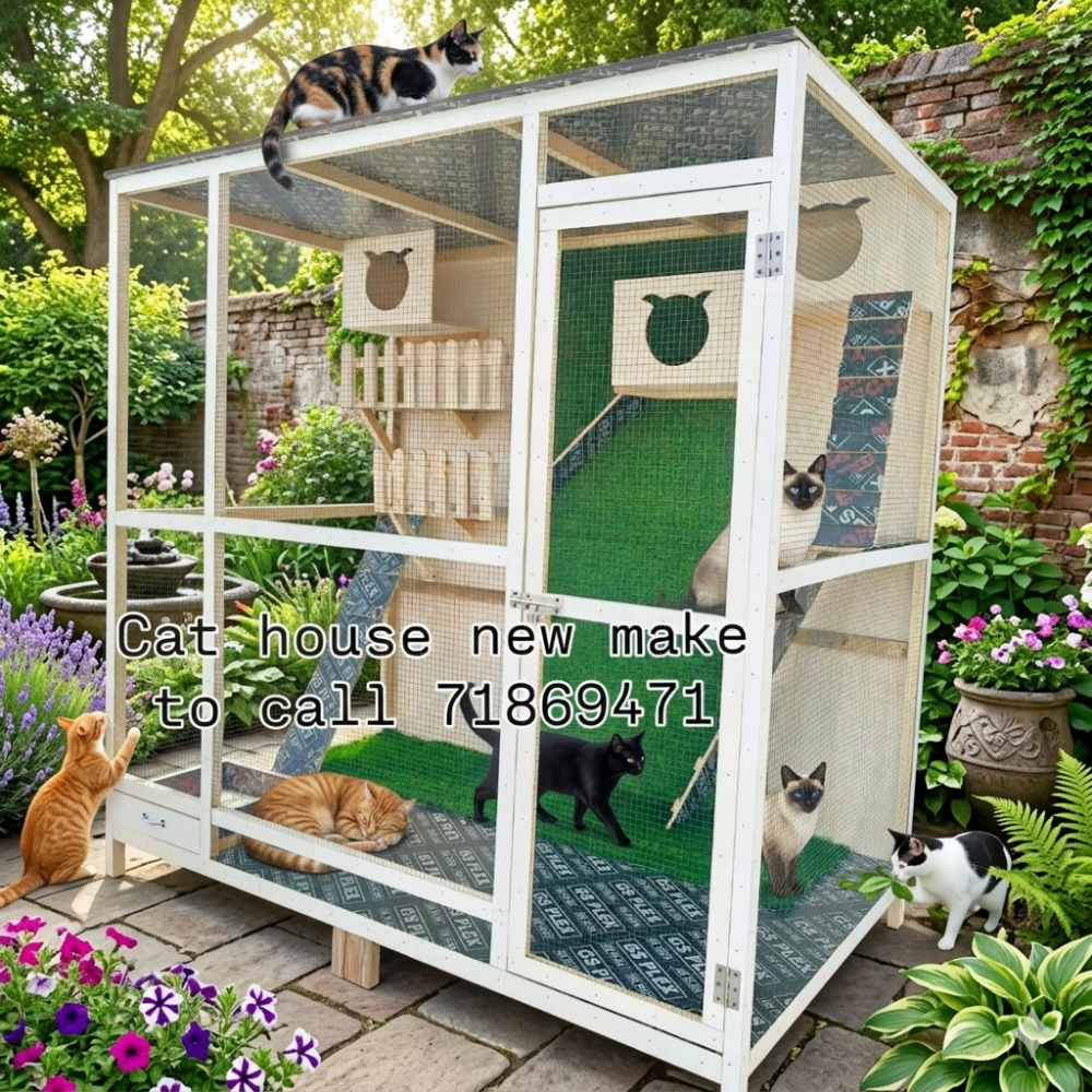 All furniture sale chicken house - 5