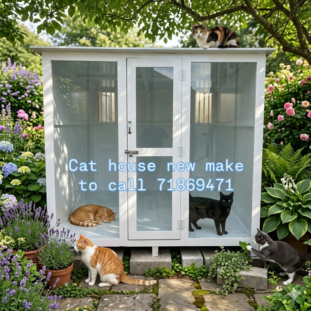 All furniture sale chicken house - 18