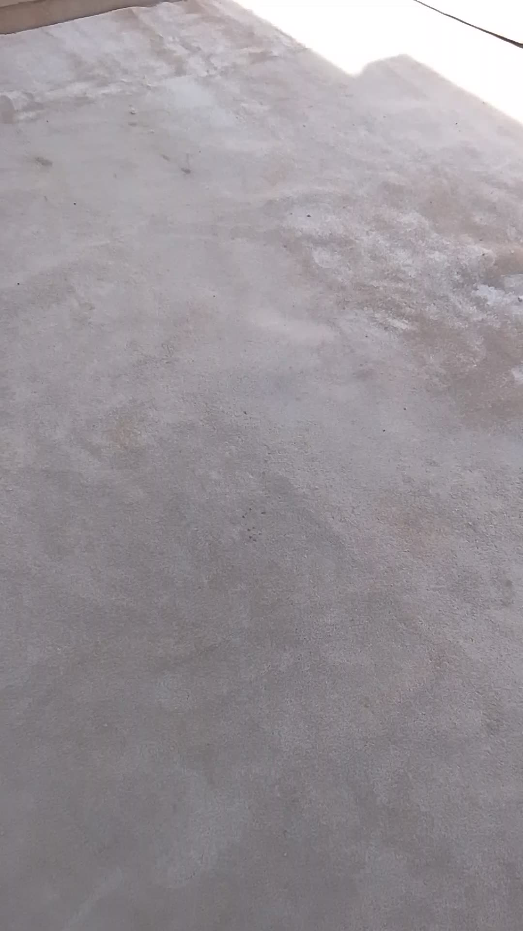 rug 3.5*5 - 2
